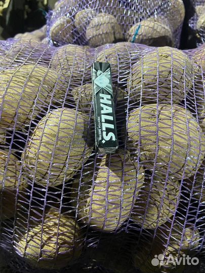 Продам картофель оптом