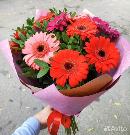 Свежие Герберы. Цветы. Доставка/Самовывоз