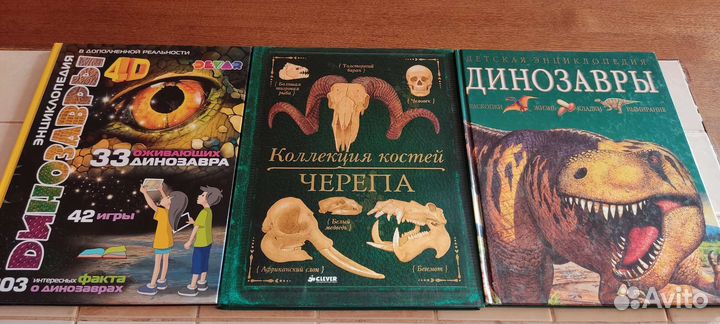 Книги детские энциклопедии динозавры, черепа