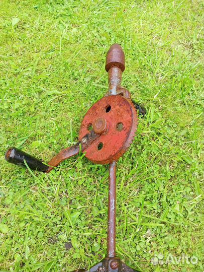 Коловорот старинный