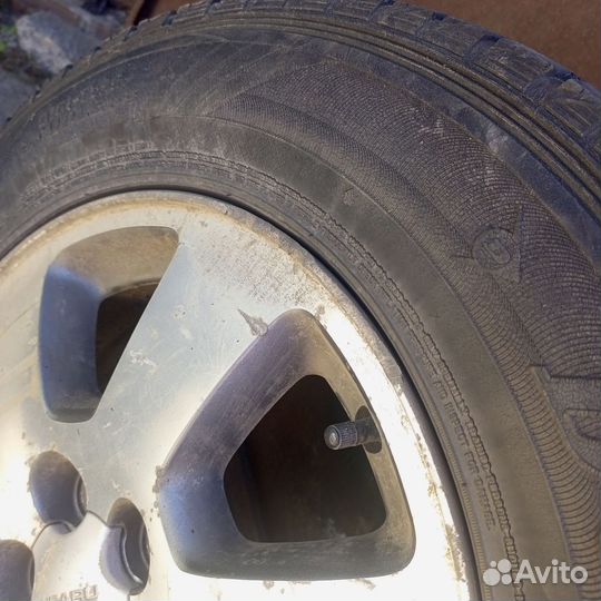R15 Dunlop SP Winter Maxx WM01 205/70, PCD 5x100 DIA 58