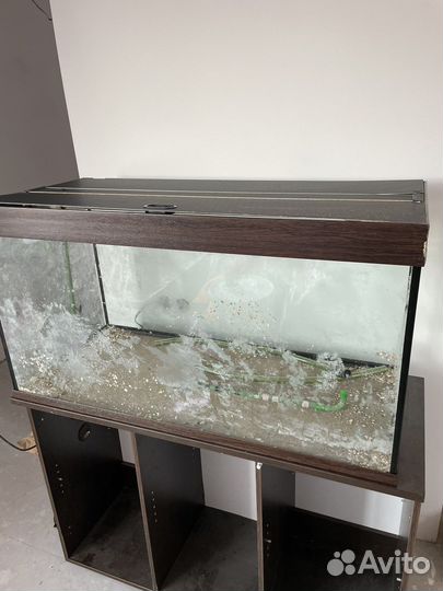 Аквариум на 300 литров