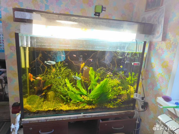 Аквариум огромный 400 литров