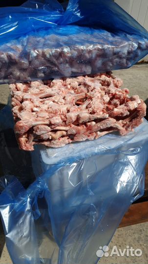 Трубчатая кость