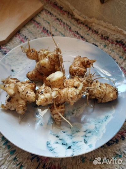 Тапинамбур