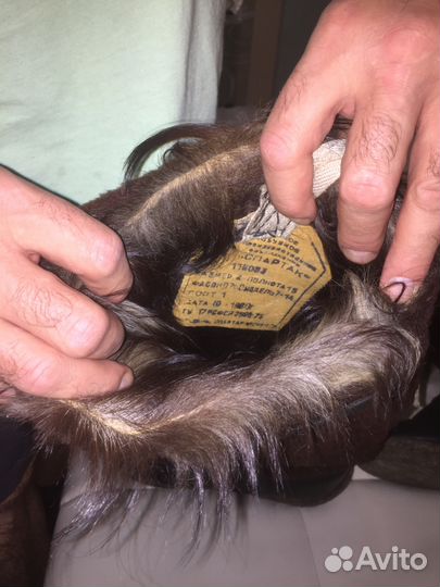 Унты летные на меху