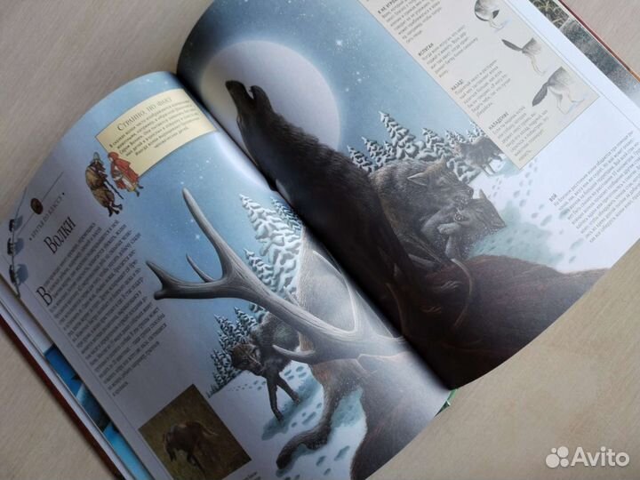 Энциклопедия самые опасные животные мира