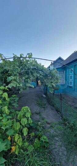 Дом 61 м² на участке 23 сот.