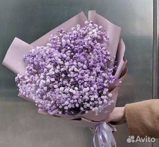 Букеты/композиции из гипсофилы