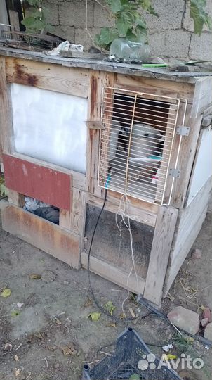 Клетка для кролика