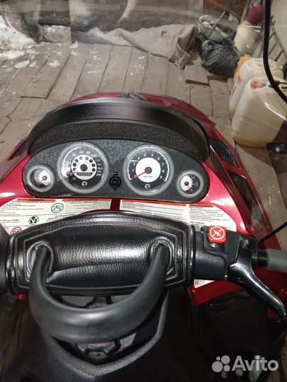 Brp