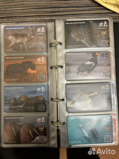 Карта тройка Красная книга