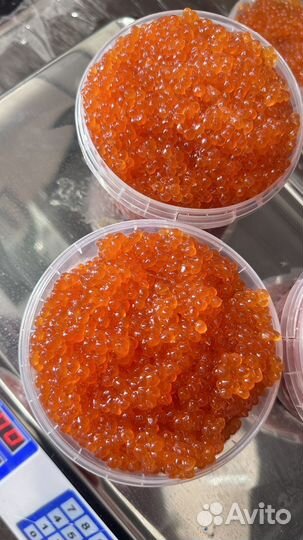 Свежая красная Икра Горбуши 2023