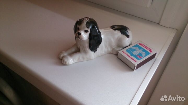 Собака Луначарского лфз