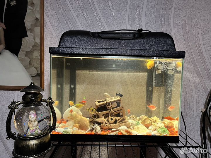 Аквариум 30 литров