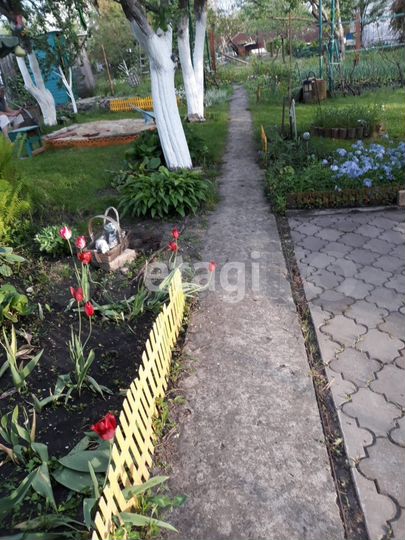 Дача 50,3 м² на участке 6 сот.