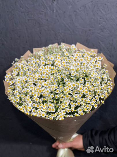 Букет ромашек