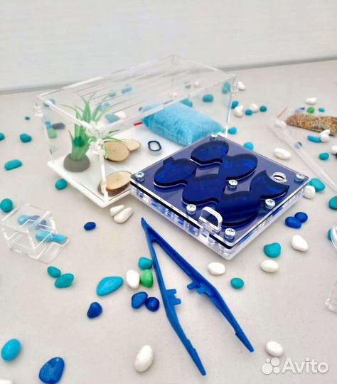 Муравьиная ферма