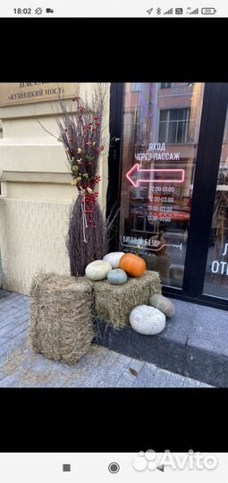 Сено в тюках