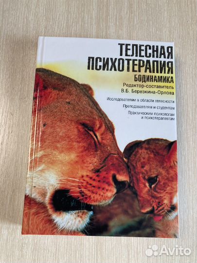 Телесная психотерапия Бодинамика Березкина