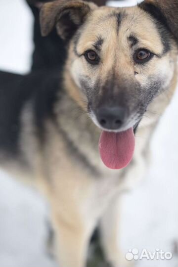 Молодая и активная девочка Валя