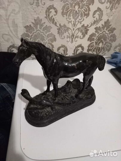 Расседланная лошадь