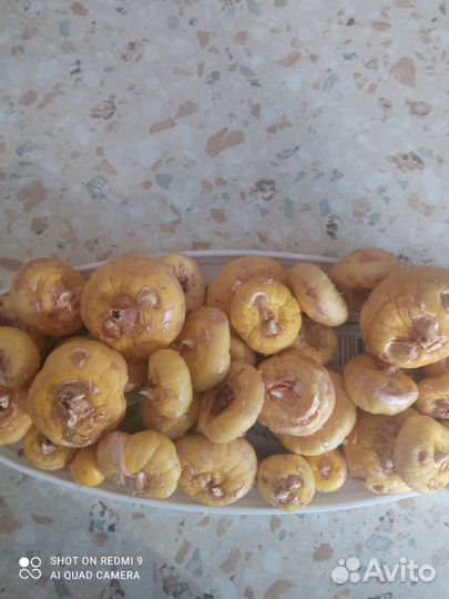 Гладиолусы луковицы