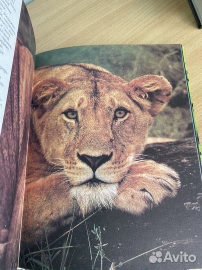 Книга Мир животных