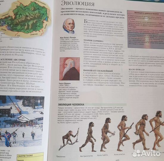 Большая энциклопедия школьника