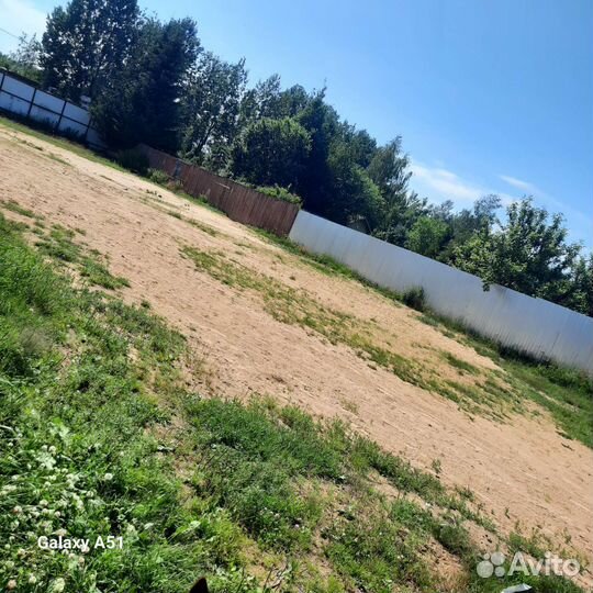 Выгул,передержка