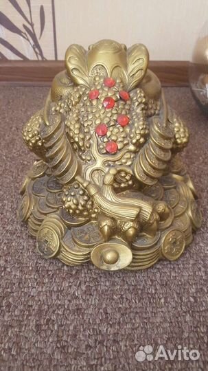 Лягушка большая