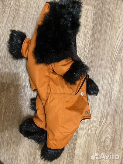 Костюм для собаки