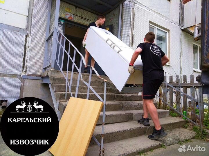 Грузоперевозки