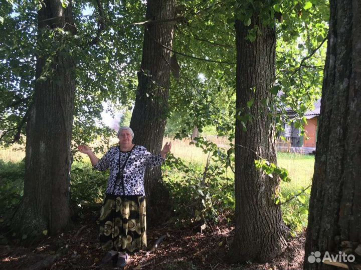 Гадалка, Гадание, Приворот, Обучение