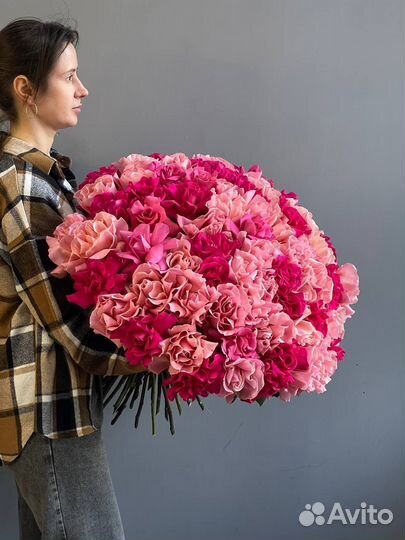 71 французская роза