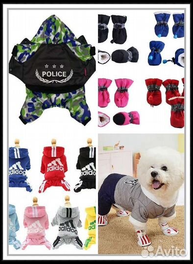 Много одежды и обуви для собак и кошек