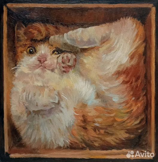 Картина маслом кот в коробке