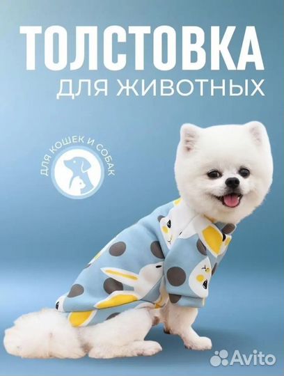 Толстовка для собак и кошек