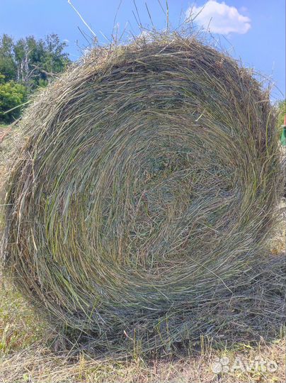 Продам сено в тюках