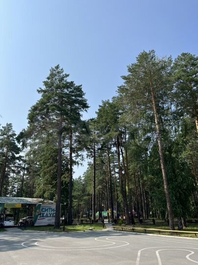 Участок 8 сот. (ИЖС)