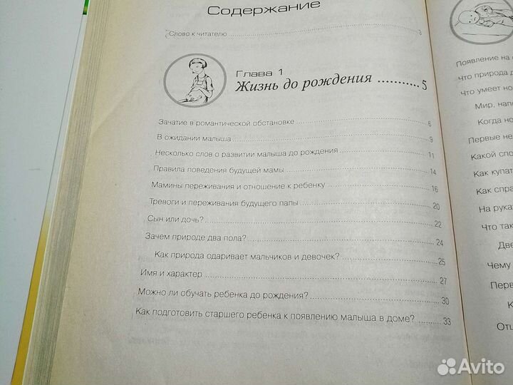 О. Шелопухо 