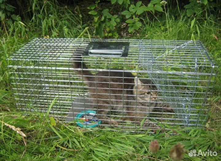 Клетка ловушка для кошек, кошколовка