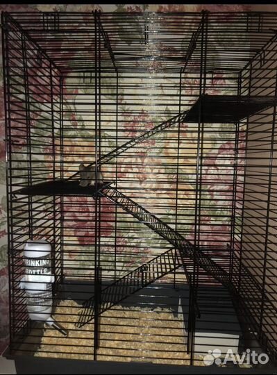 Клетка для крыс