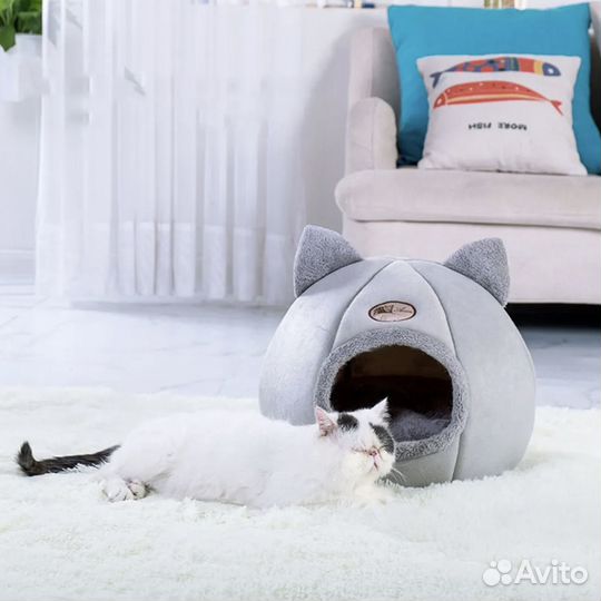 Кошачий домик