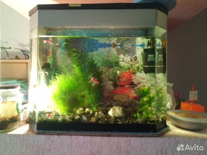 Аквариум