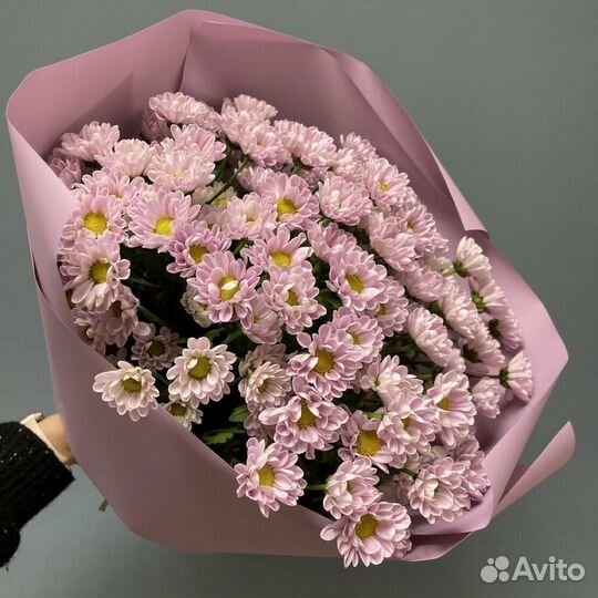 Хризантемы сантини розовые 45 шт