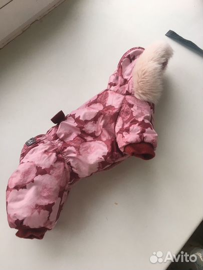 Одежда для собак