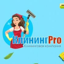 Готовый бизнес на Клининге и Химчистке