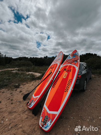 Sup board аренда