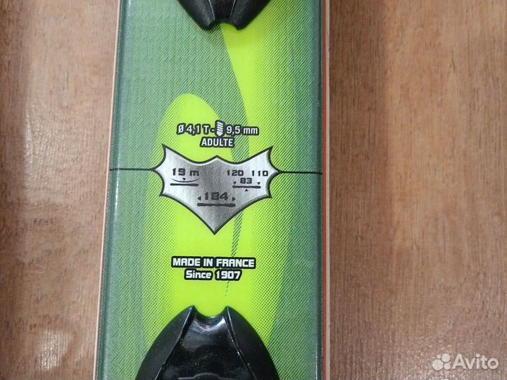 Горные лыжи